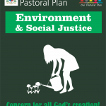 Pastoral Plan Flex 10